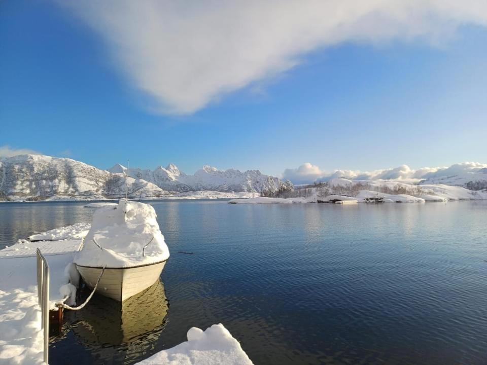 Hammerstad Camping Svolvaer Ngoại thất bức ảnh